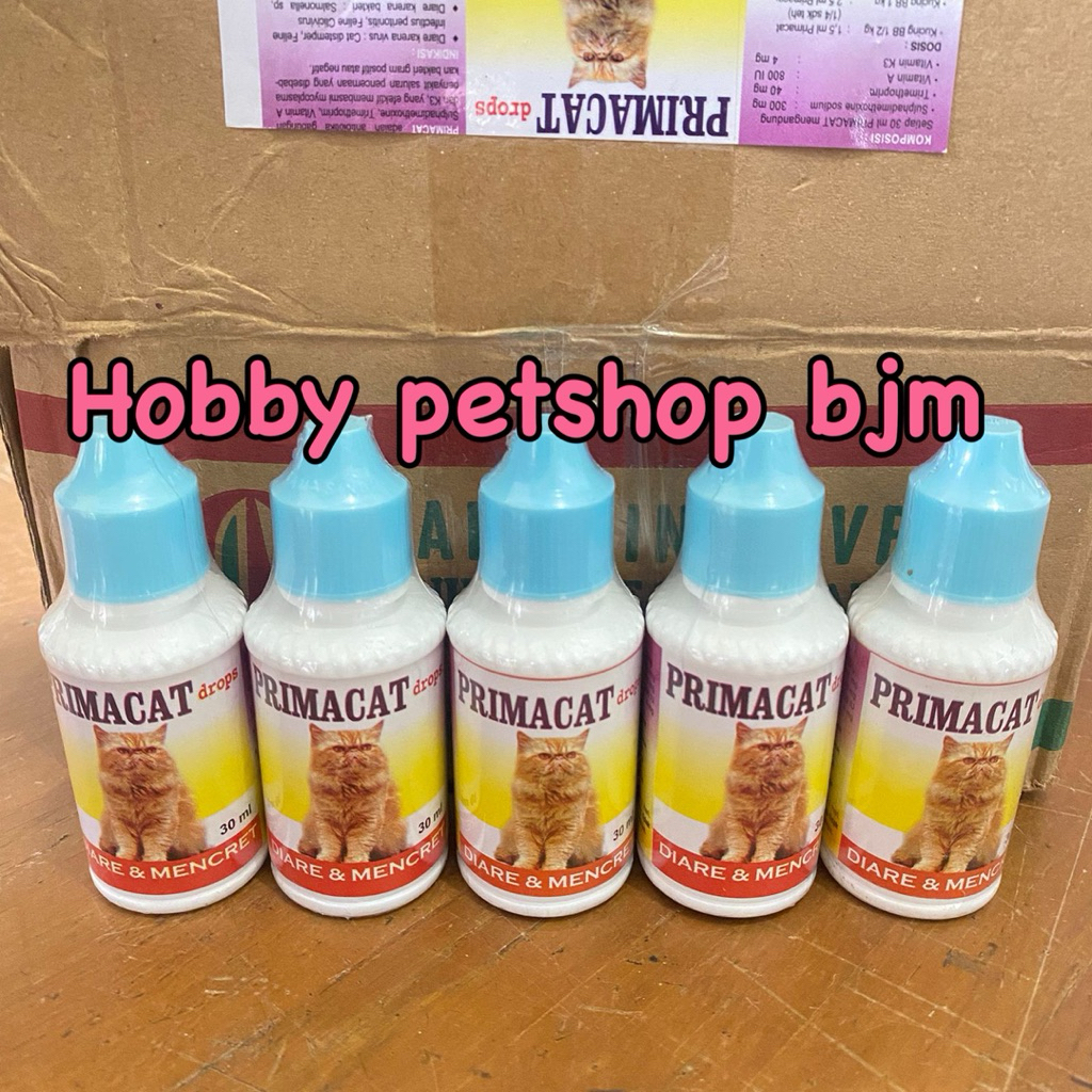 Primacat obat diare mencret kucing / prima cat anti mencret diarre / obat kucing diare mencret