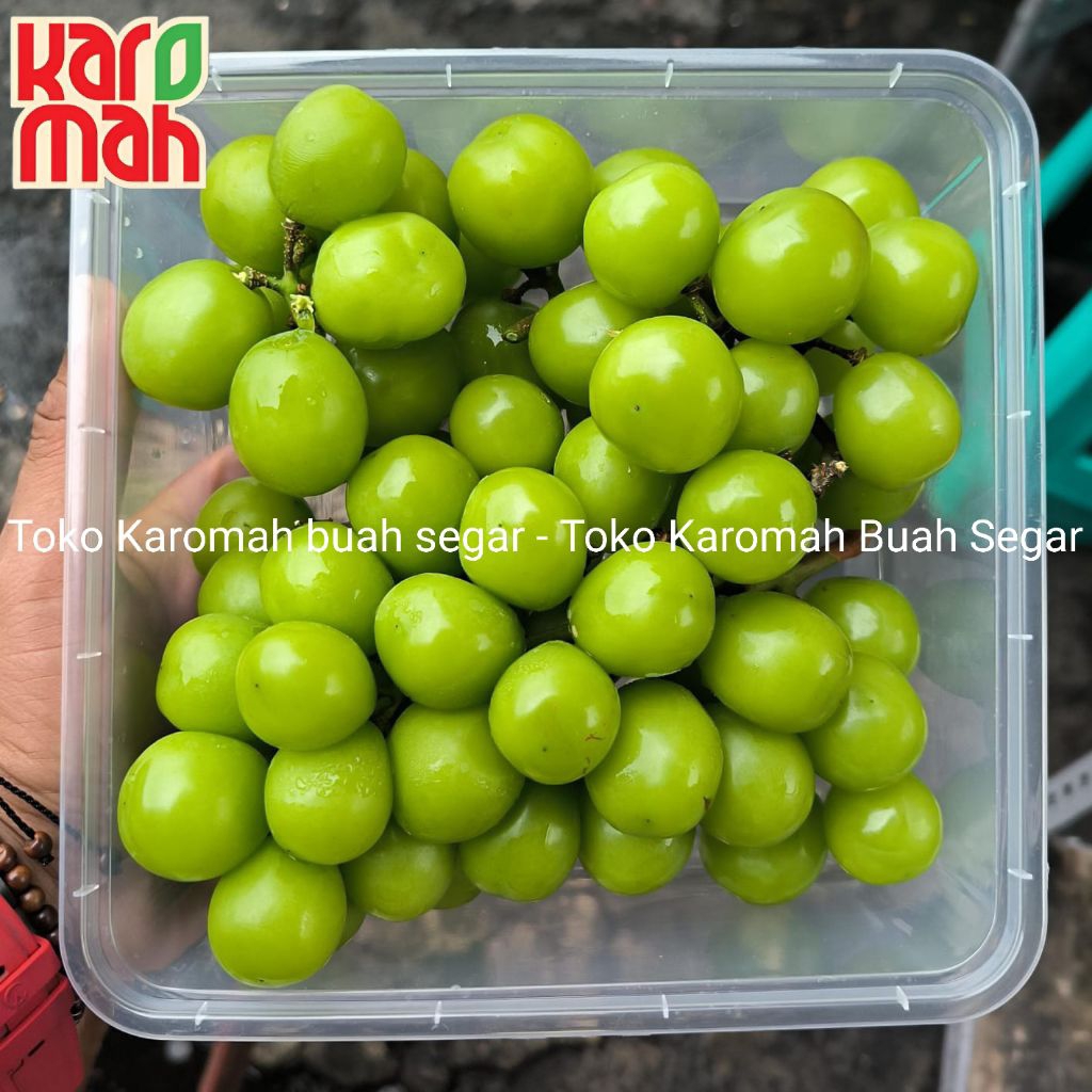 

Anggur Muscat Kemasan 1Kg Premium Jamin Fresh Toko Karomah Buah