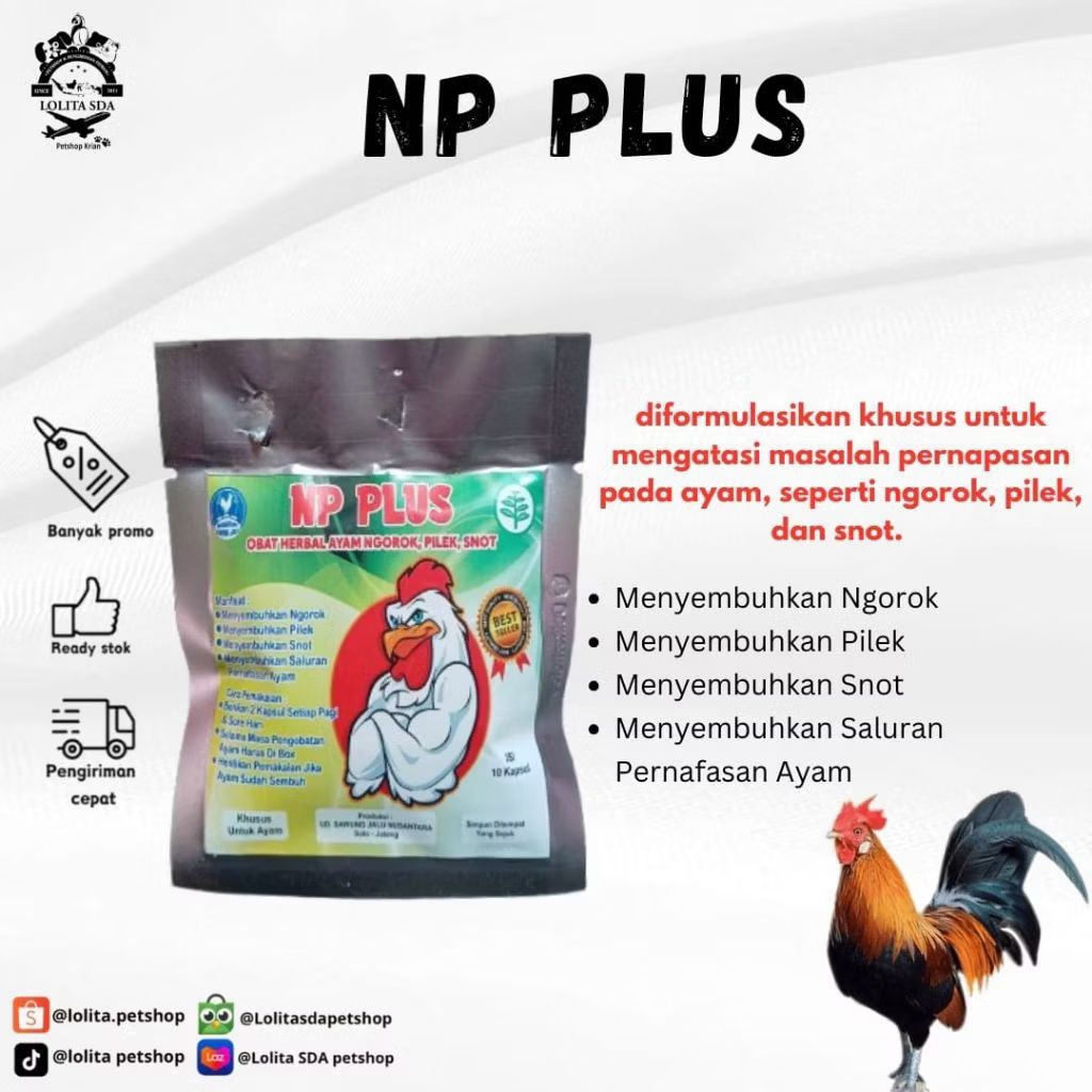 NP plus obat herbal ayam ngorok pilek snot