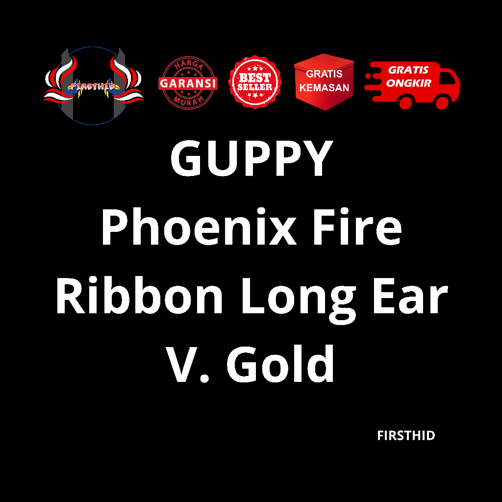 (BEST SELLER) Aksesoris Akuarium GUPPY Phoenix Fire Ribbon Big Dorsal Long Ear versi Gold penghias k