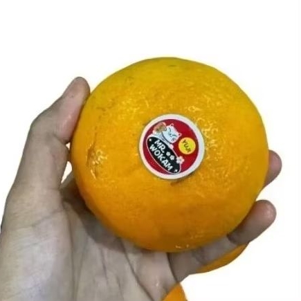 

buah jeruk wokam Yuji manis segar 1kg