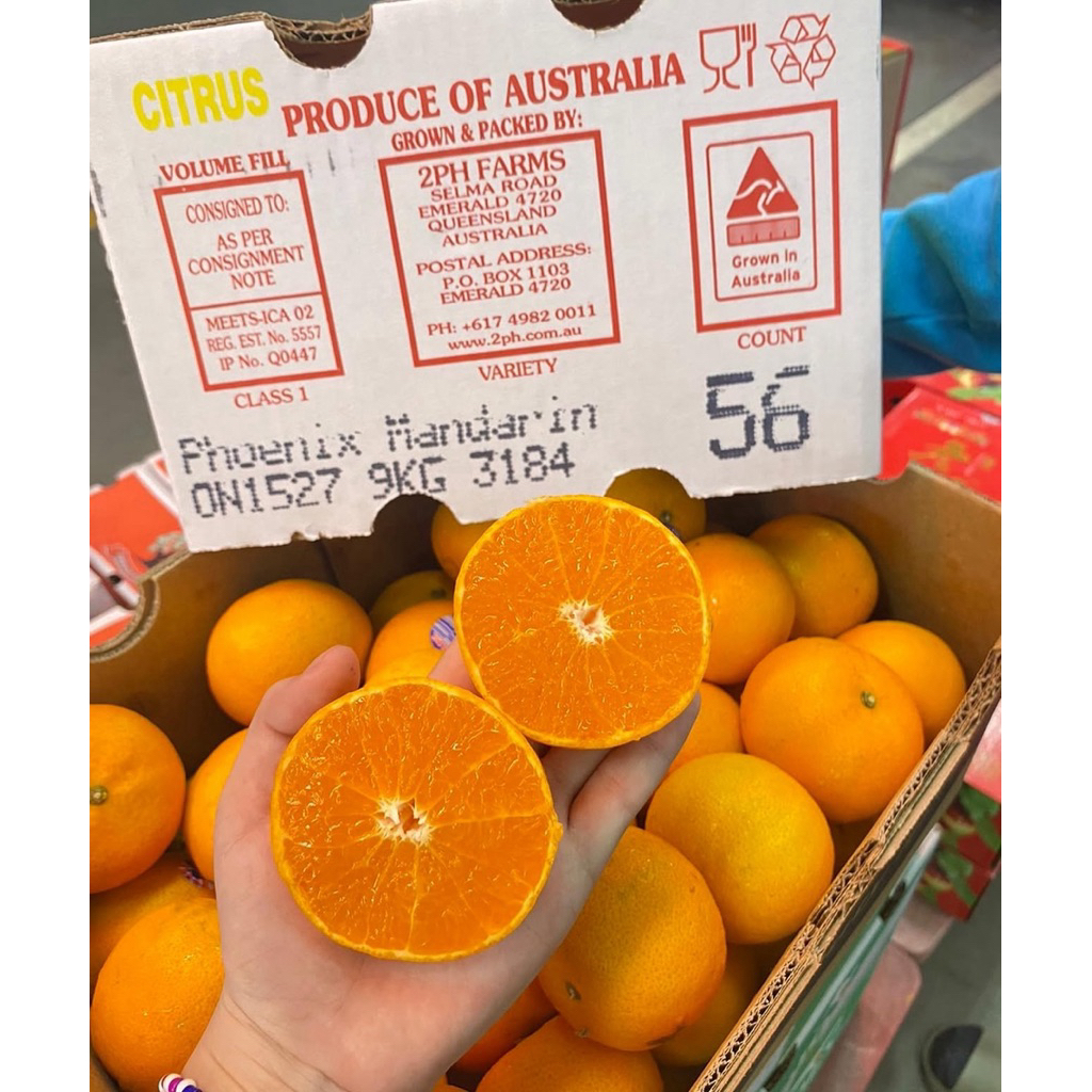 

Jeruk Wogan Mandarin Manis