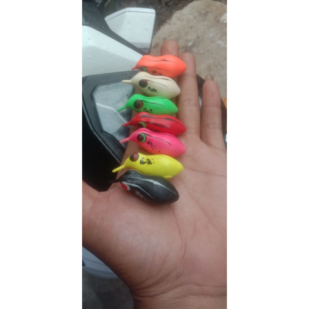 grosir cangkang soft frog size 4cm