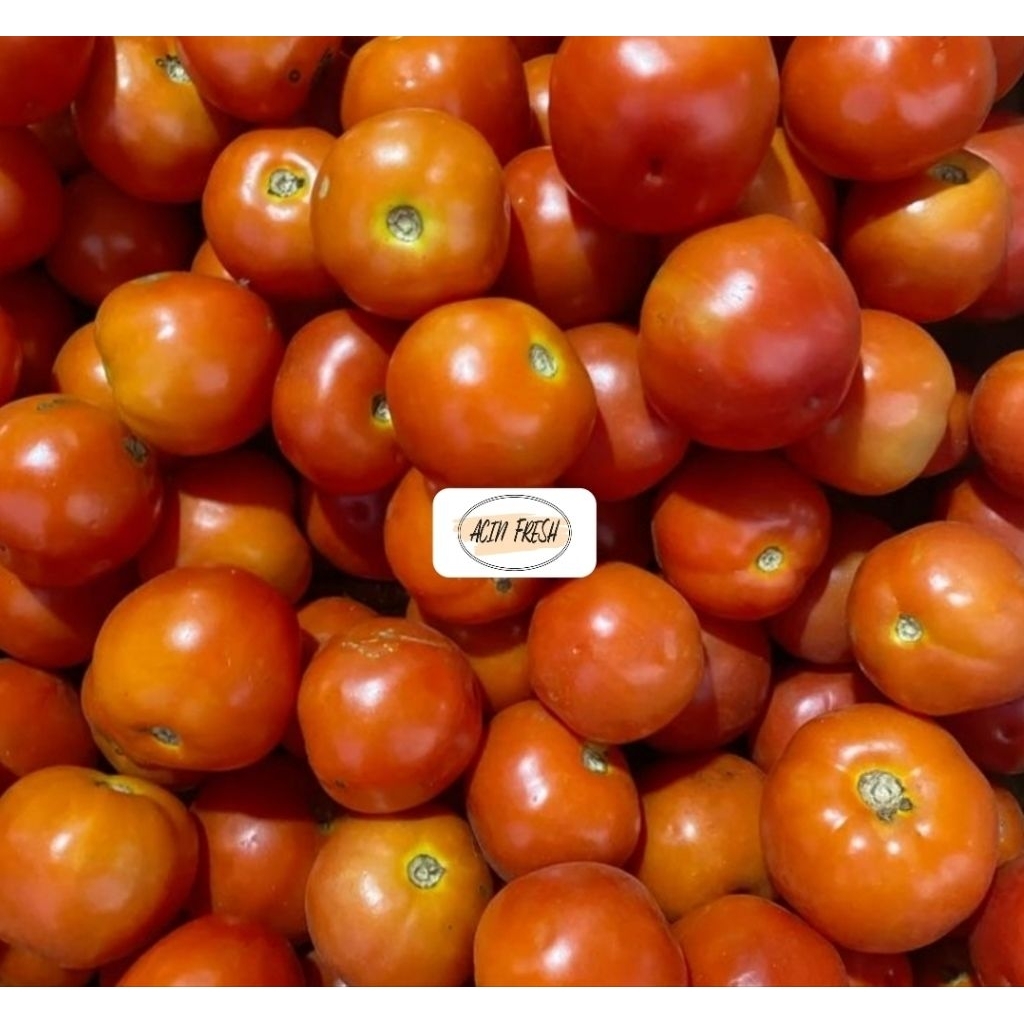 

[BOGOR/CIBINONG] TOMAT MERAH FRESH 500GR/1KG