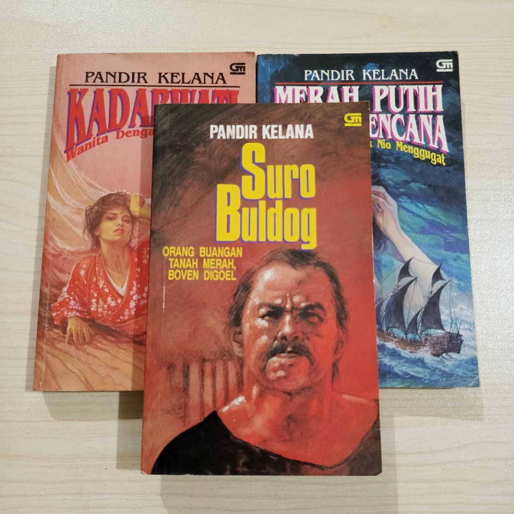 Preloved Novel Pandir Kelana Cabutan