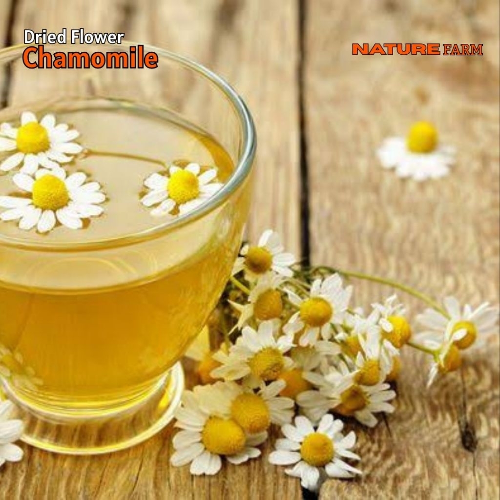 

Nature Farm Premium Pure Dried Chamomile Tea - teh bunga chamomile 250gr 500gr 1kg