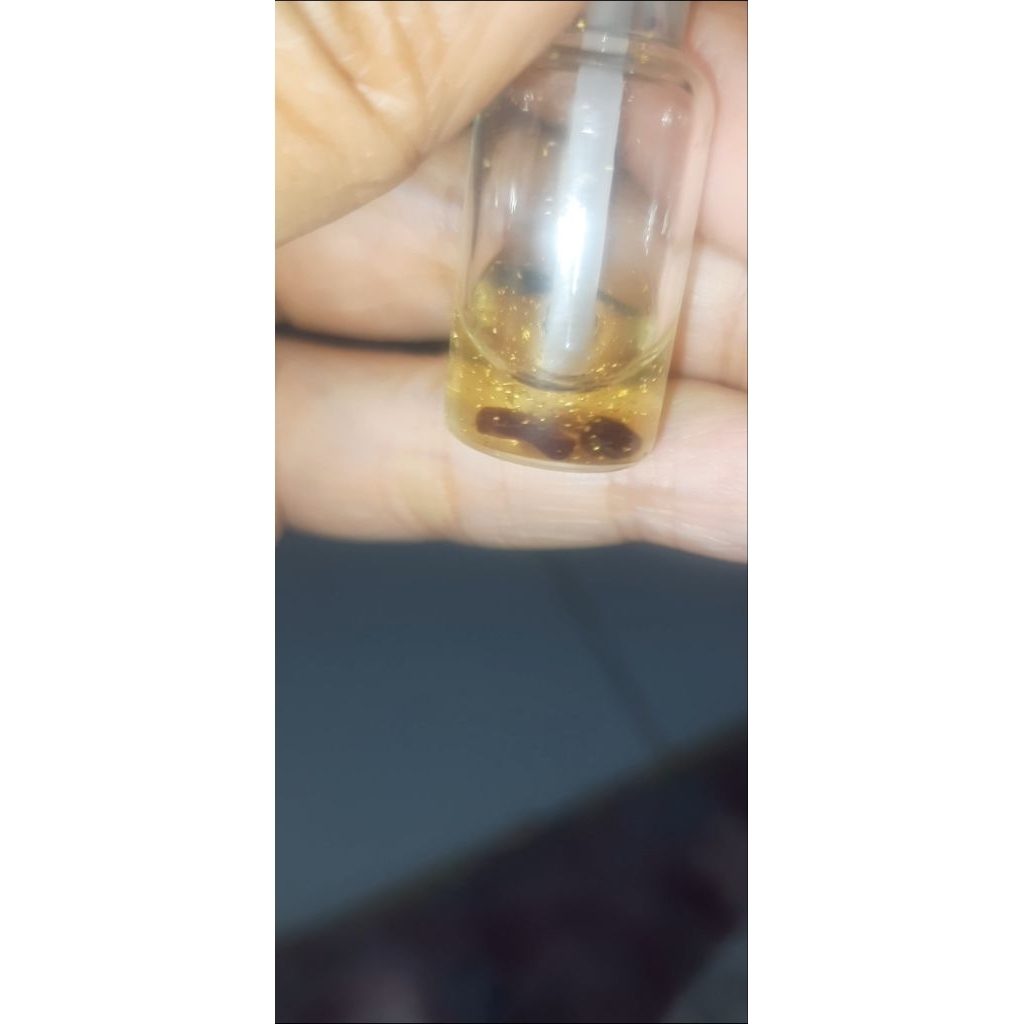 Mustika Darah ( ada 3 mustika di dalam botol )