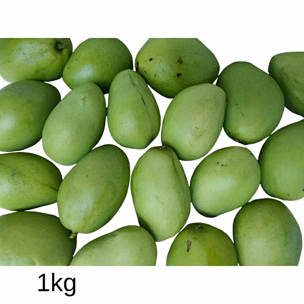 

Mangga Muda Rujak Fressss !!! PETIK DADAKAN