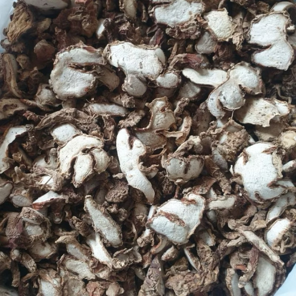 lempuyang kering temu lempuyang