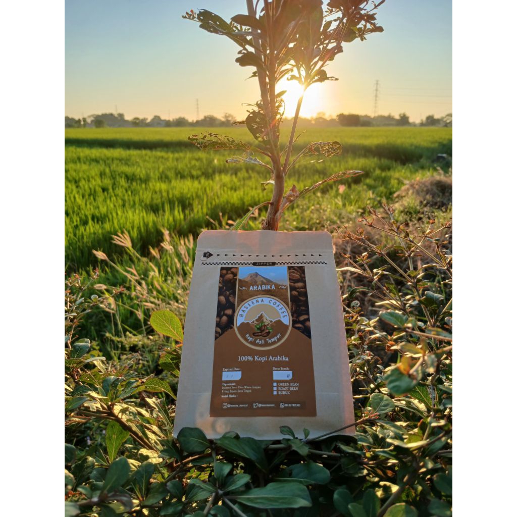 

Arabika Le Muria 500 gram Bubuk Giling Kasar, Haseena Coffee (Kopi Kawah Muria, Tempur, Jepara)