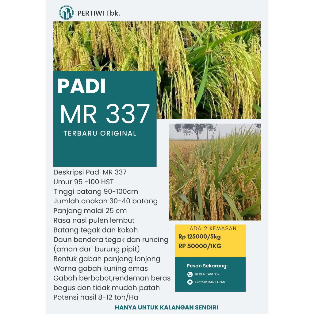 Bibit Benih Padi MR 337 ORIGINAL Kemasan 1 Kg