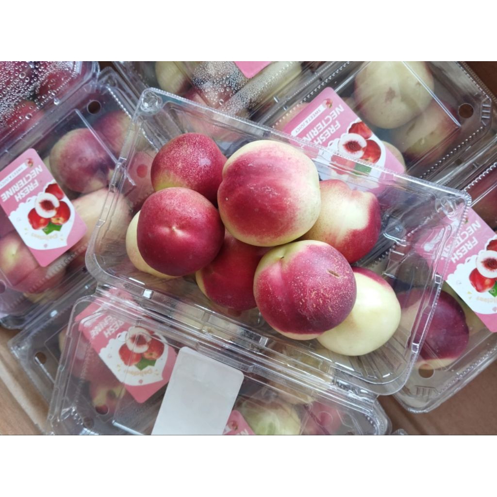 

Buah Nectarine / Peach