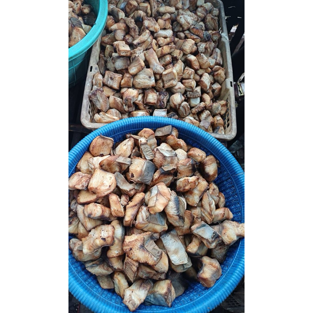 

Cucut Asap Panggang Termurah Grosir Enak Segar Khas cirebon