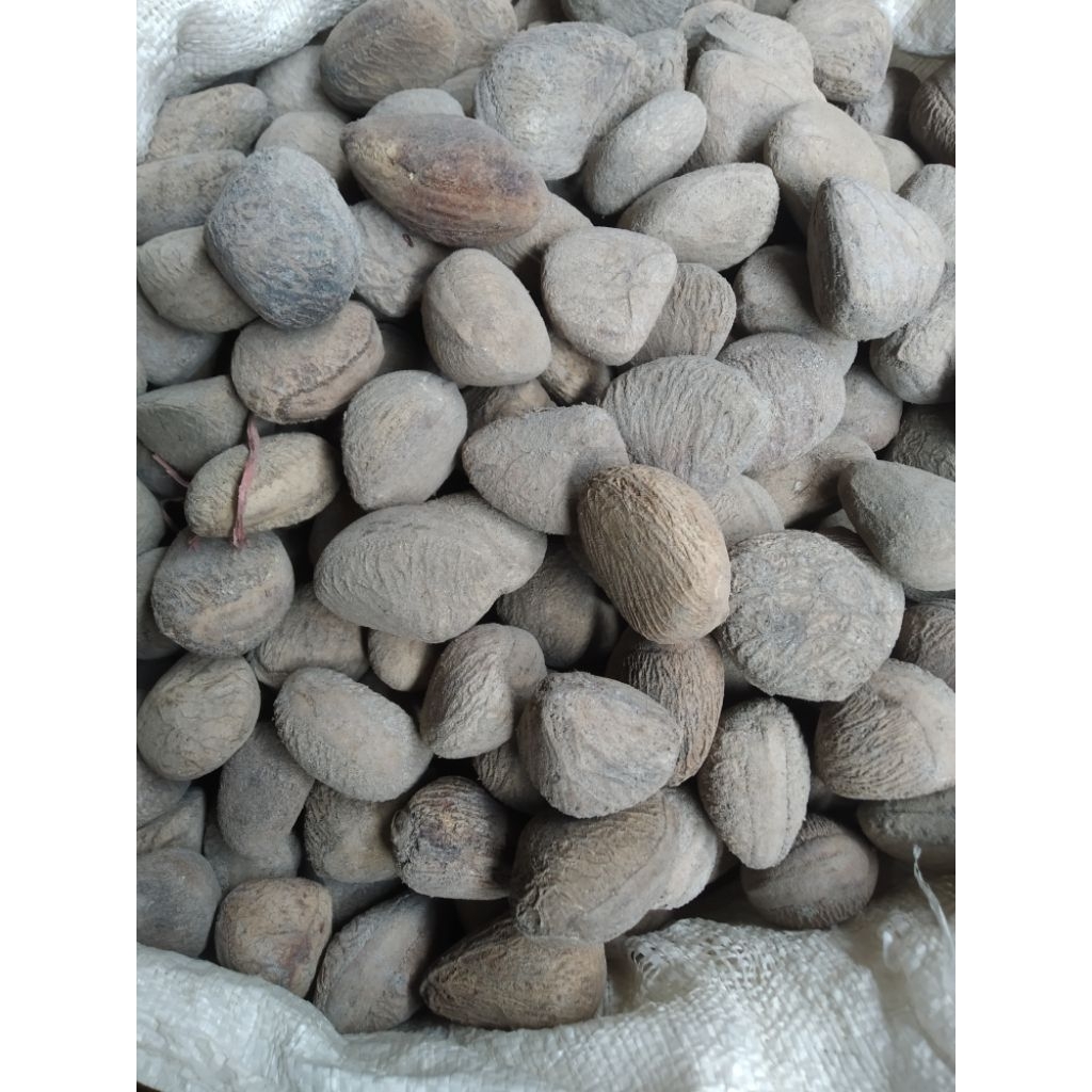 

keluwek untuk bumbu masak harga per kg