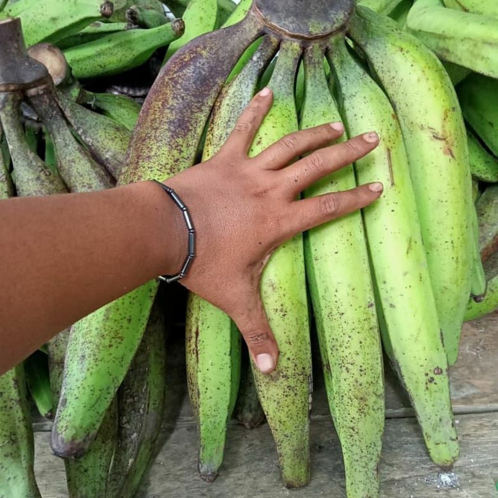

Pisang tanduk jumbo, super manis