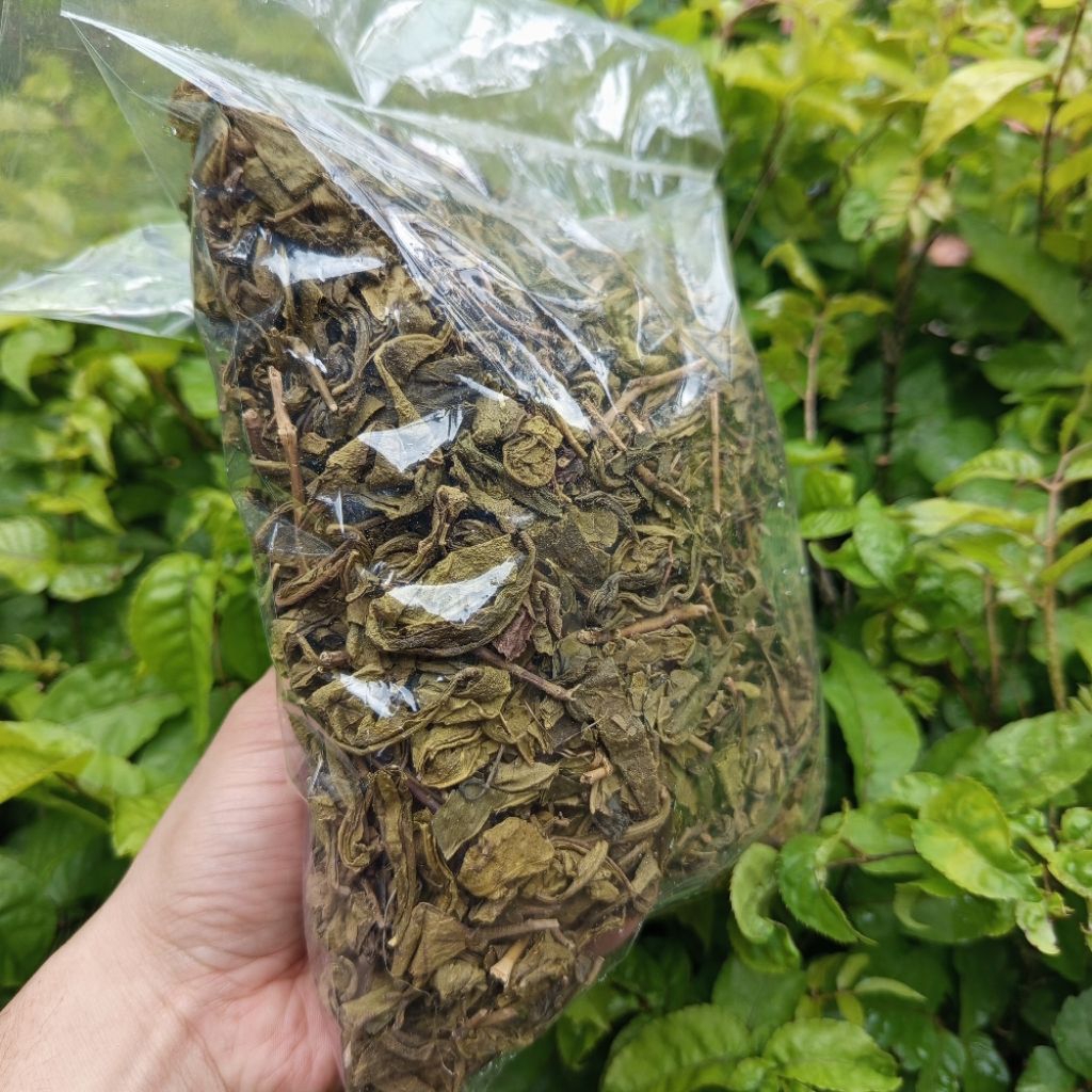 

teh hijau kering 250 gram fres