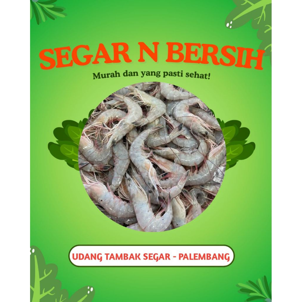 

UDANG TAMBAK SEGAR - PALEMBANG