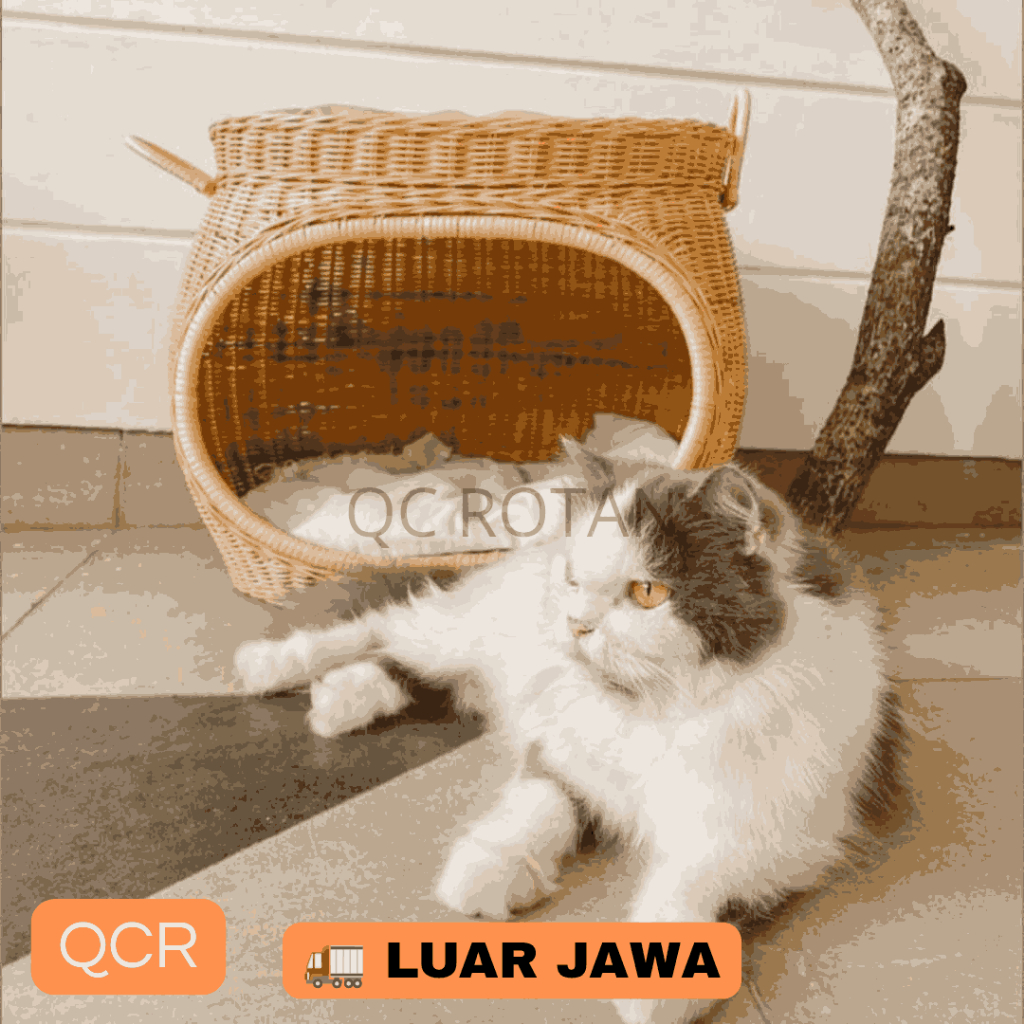 Luar Jawa Pilihan Rumah Kucing Rotan Lengkap Gratis Kasur