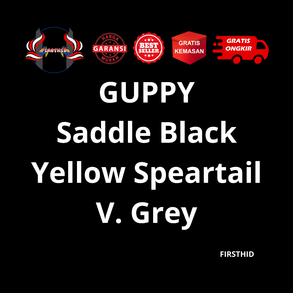 (BEST SELLER) Aksesoris Akuarium GUPPY Saddle Black Yellow Speartail penghias kolam
