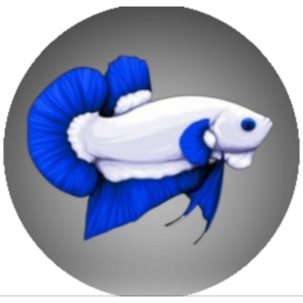 

sticker bluerim live