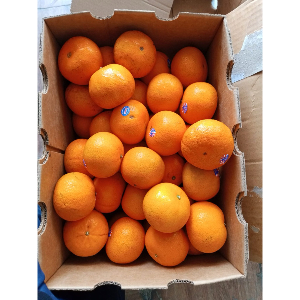 

jeruk murcot australia manis non biji banyak air