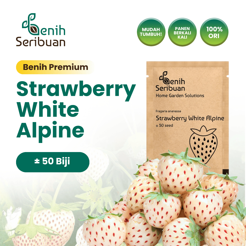 Benih Seribuan - Benih Buah Strawberry Putih Unggul
