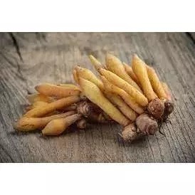 

500 gram temu pepet temu kunci kering segar