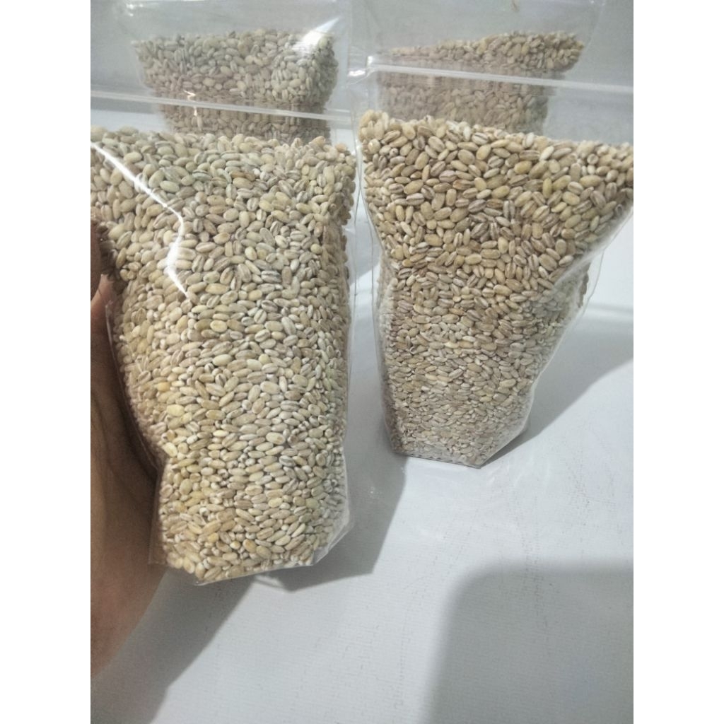 

Barli Holland (Holland Barley) 300 gram