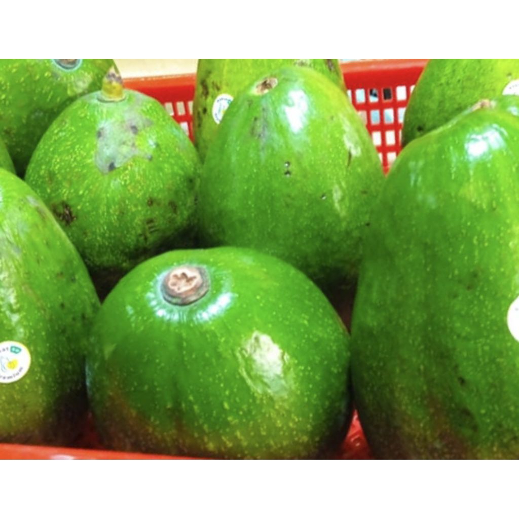 

ALPUKAT PREMIUM KHAS AU