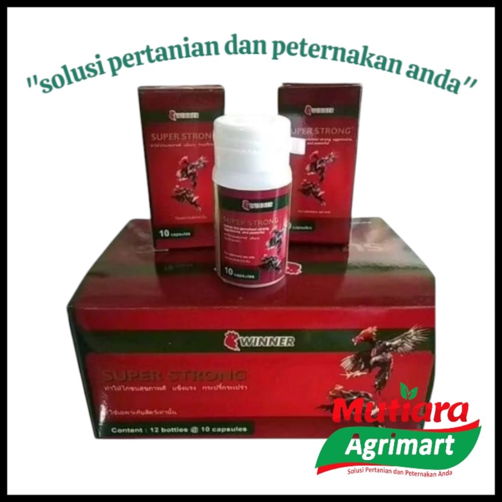 SUPER STRONG TOPLES ISI 10 CAPSULE // DOPING AYAM ADU // STAMINA AYAM BANGKOK