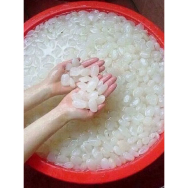 

kolang kaling kemasan istimewa super 1kg / kolang kaling asli garut segar putih bersih cocok buat manisan