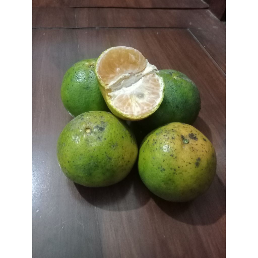 

jeruk manis Semboro 1kg