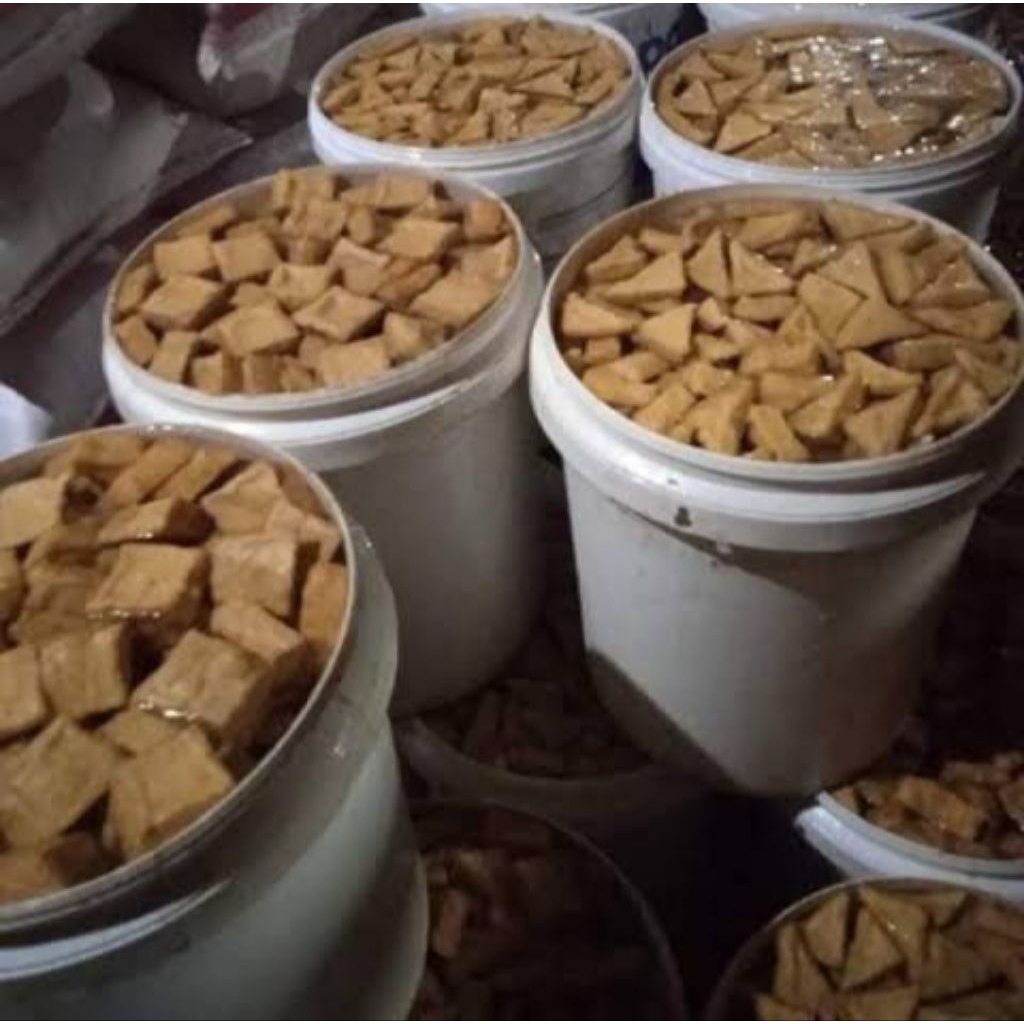 Tahu Coklat Segitiga Tahu Coklat Segiempat Tahu Coklat Kotak Tahu Basah Isi 10 Pcs