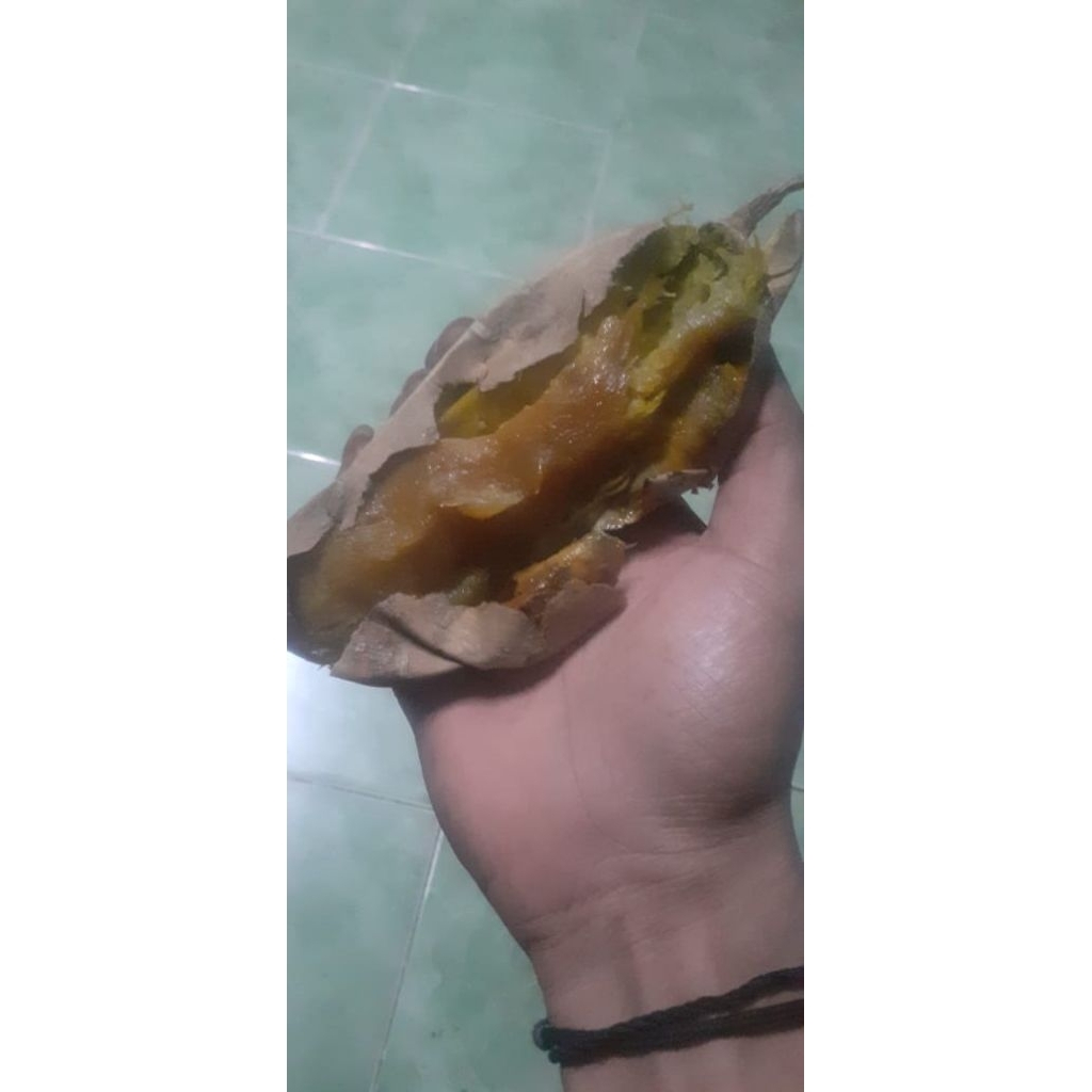 

ubi cilembu madu mateng