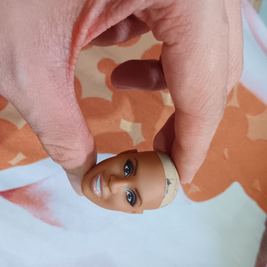 kepala barbie collector/kepala barbie kolektor/kepala laverne cox/barbie kolektor/ barbie collector