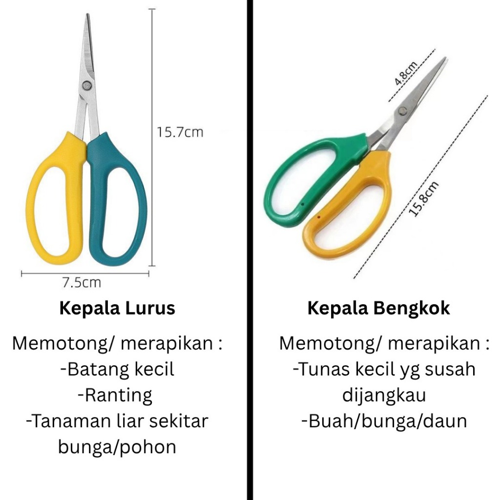 

Gunting penjarangan lurus/bengkok