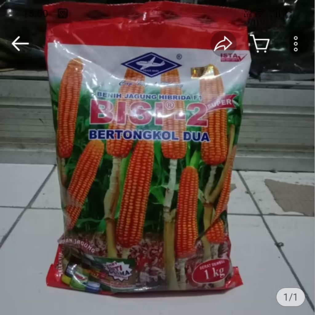 BISI-2/benih jagung/bibit jagung/bibit jagung tongkol2/benih jagung hibrida f-1/bibit jagung unggul/