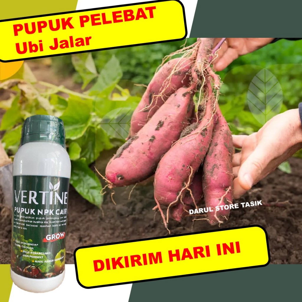 Pupuk NPK Cair Penyubur Ubi Jalar Umbi Besar Manis, Panen Lebat, Nutrisi Lengkap Tanaman Umbi Batang
