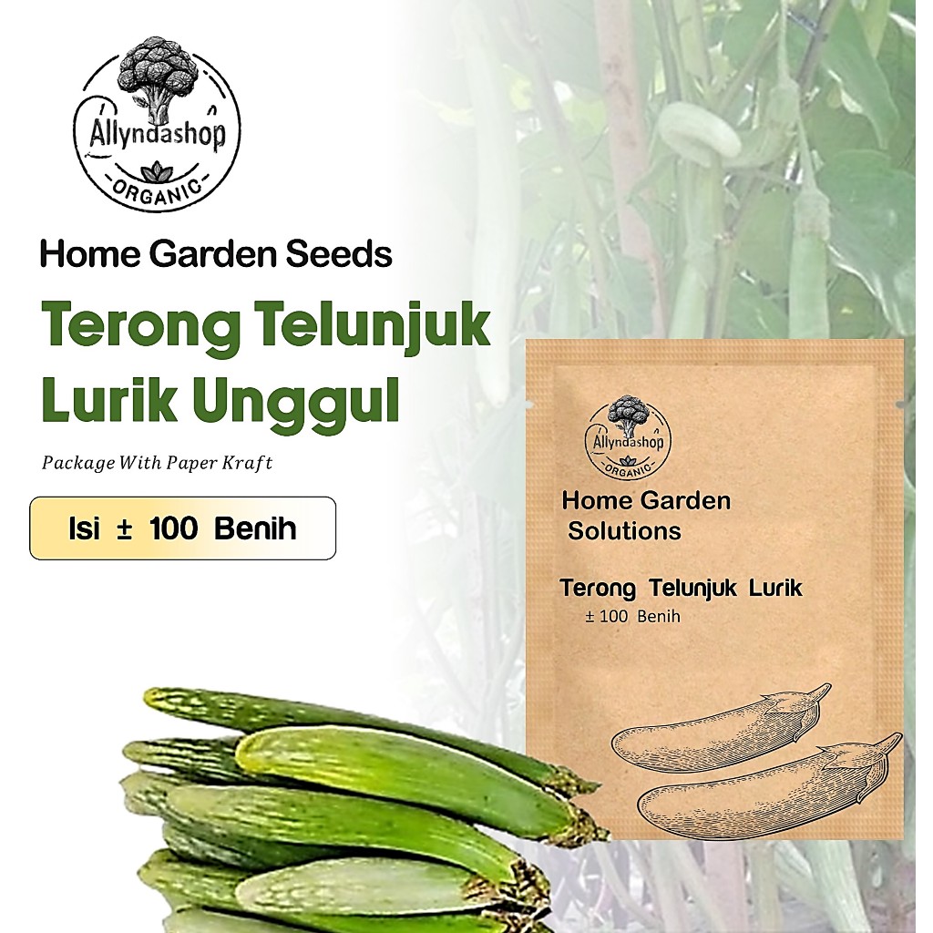250 Biji - Benih Bibit Sayuran Terong Telunjuk Lurik Unggul