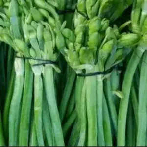 

Bunga Genjer- 2 Ikat