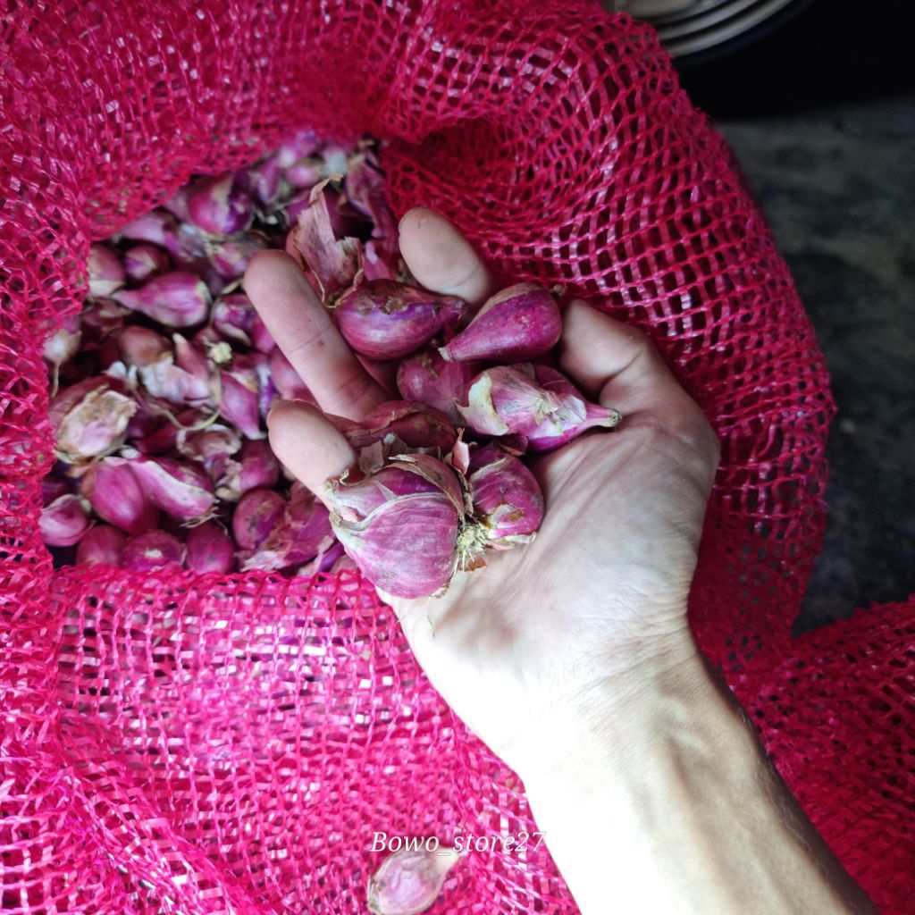 

Bawang Merah Super Segar 1kg | Kualitas Premium | Langsung dari Petani