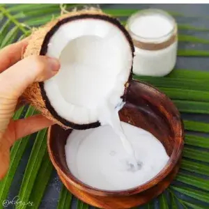 

Santen Kelapa ( 1 Butir ) / Santan