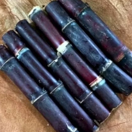 

TEBU HITAM IRENG BATANG