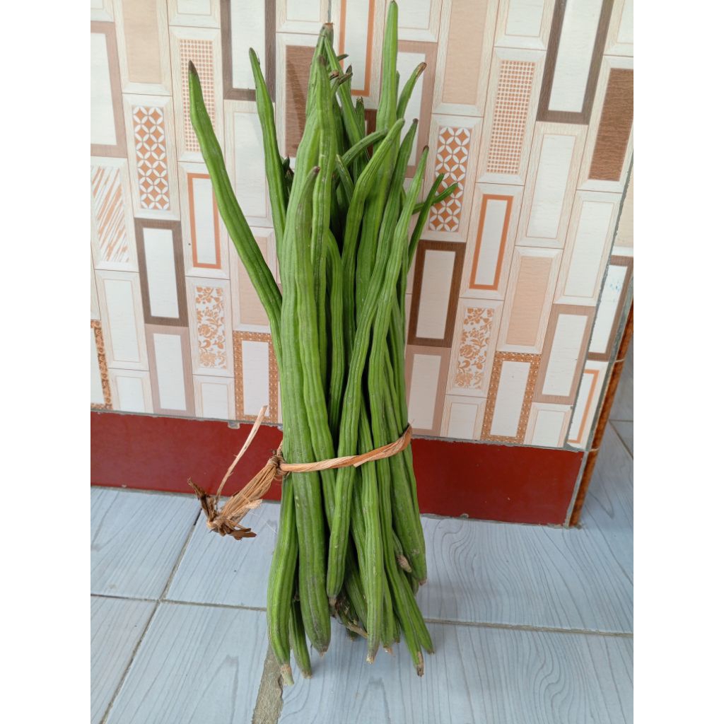 

klentang buah kelor segar 1kg, Fress