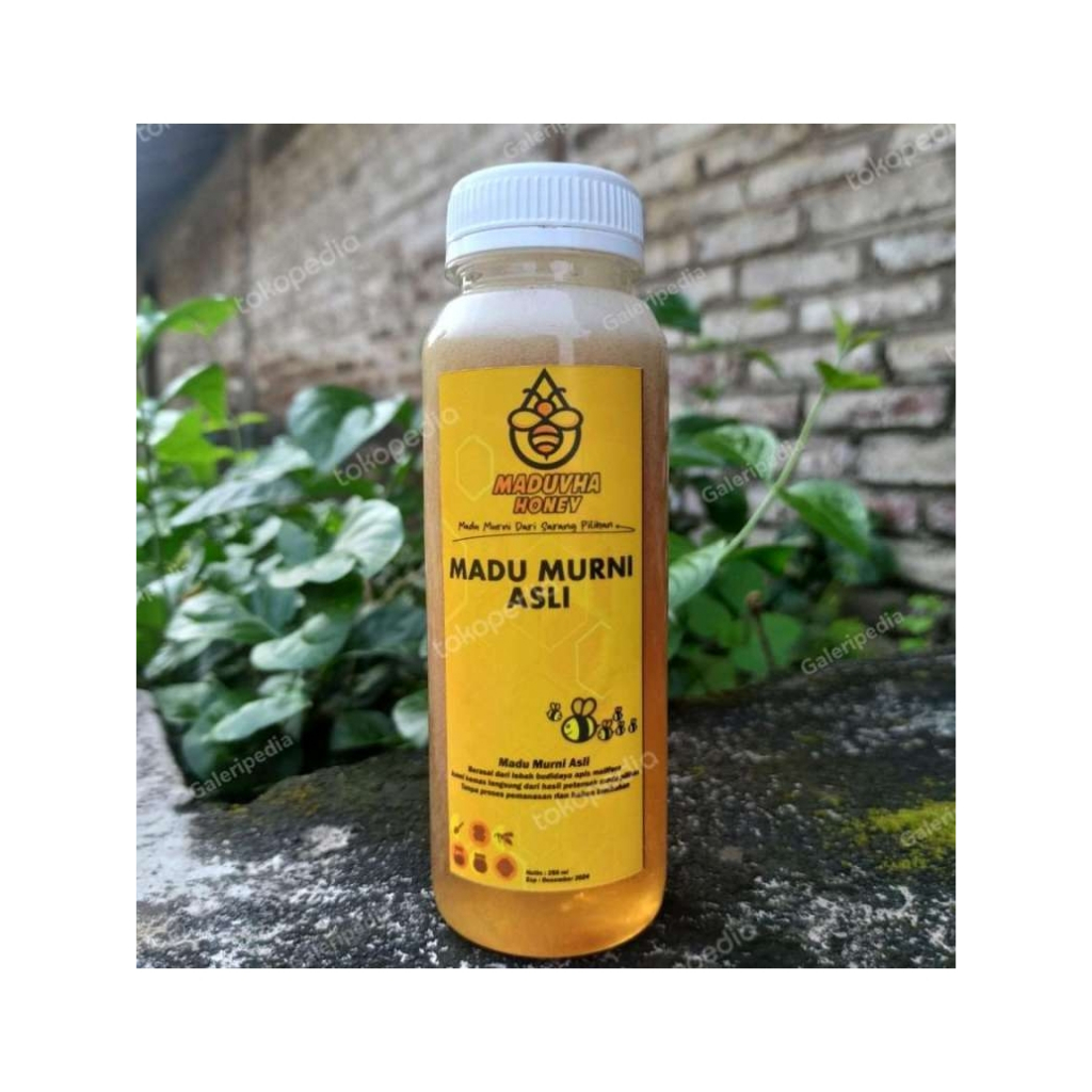 

Madu Hutan liar Super..Madu Mentah Murni 100% Madu lebah Odeng/Tawon Gung ,Madu Kualitas Terbaik