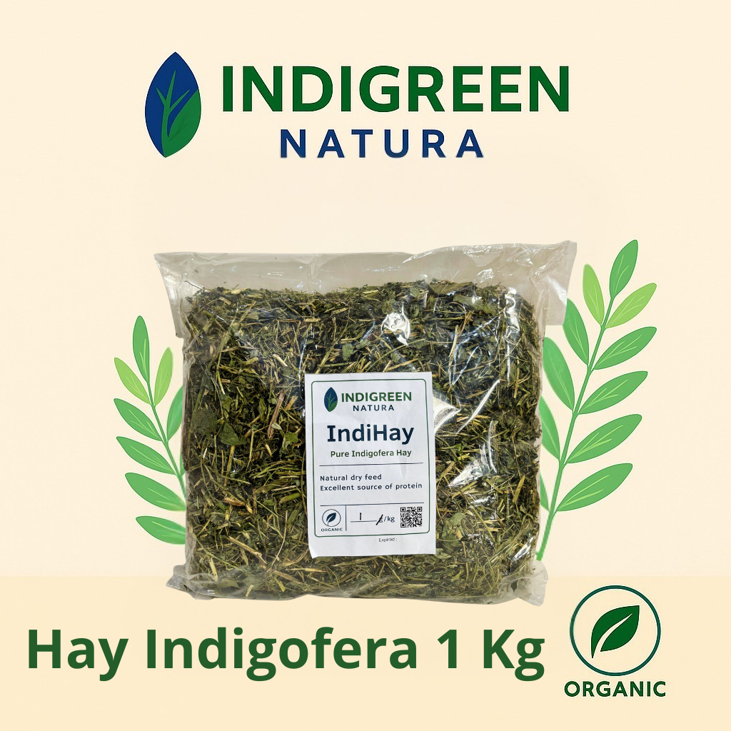 Hay Indigofera Pakan Hewan Pakan Ternak Pakan Kambing Sapi Domba Kelinci - IndiHay 1 Kg