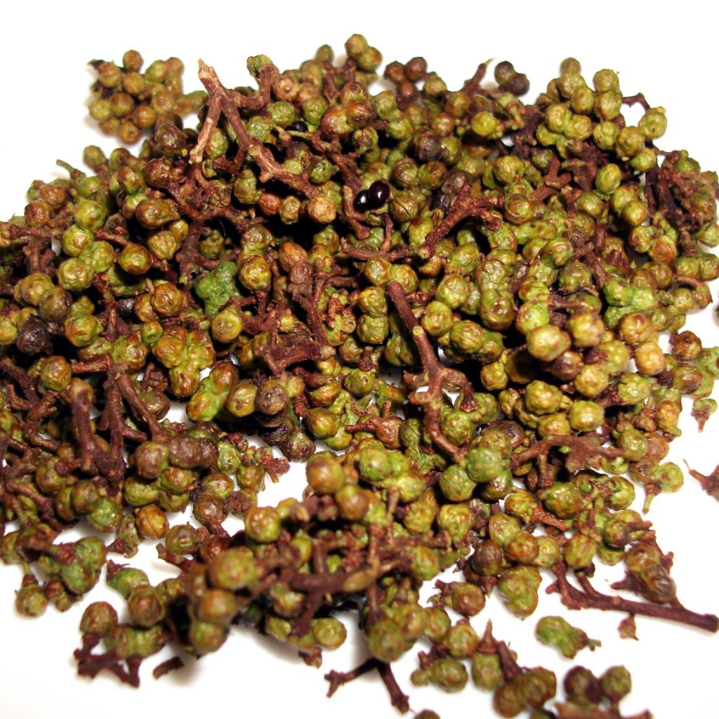 

Andaliman Ittir Frozen Beku Asli Bumbu Rempah Segar Tuba Merica Lada Batak Sumatera • 240 - 250 gram