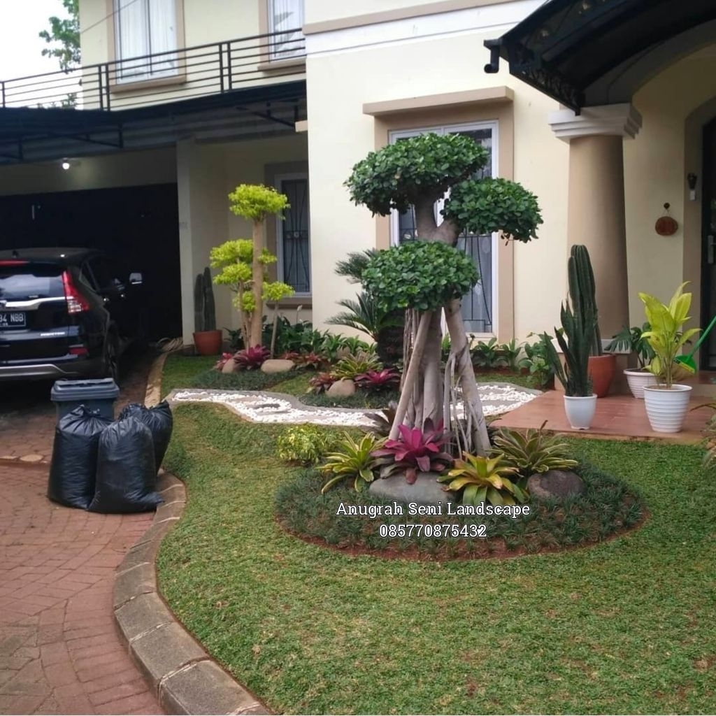 Taman Minimalis Depan Rumah