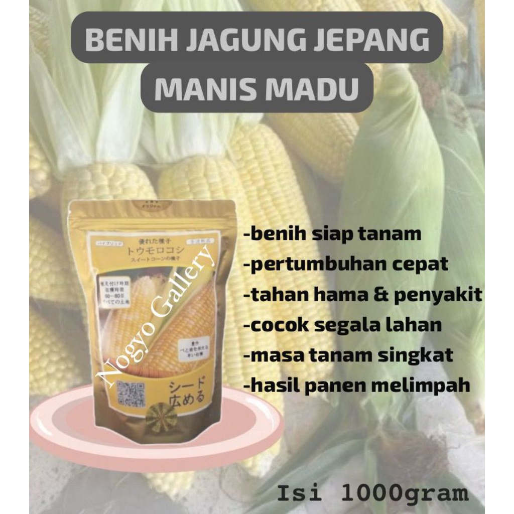 Benih Jagung Jepang Manis Madu
