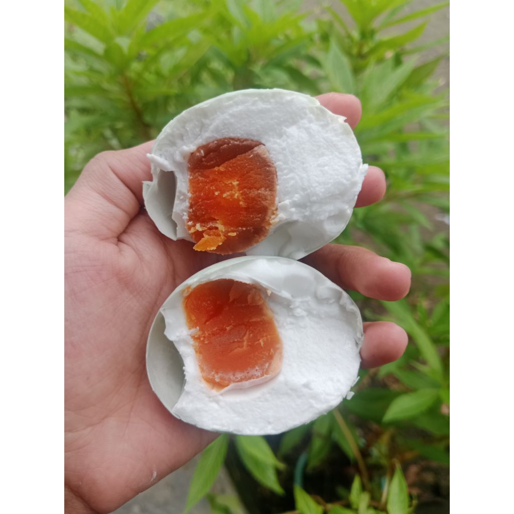 

telur asin